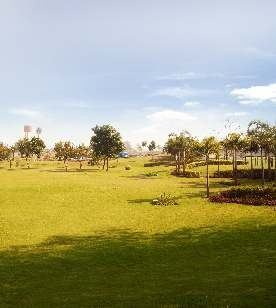 chd-4