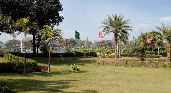 chd-6